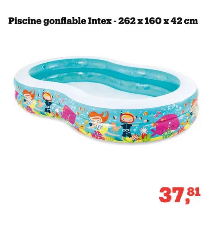 Offre: Piscine gonflable