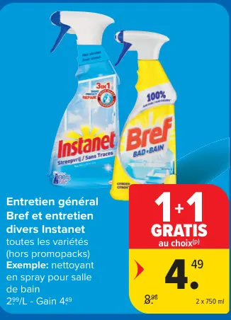 Offre: Entretien général Bref et entretien divers Intanet