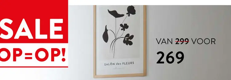 Aanbieding: SALON des FLEURS