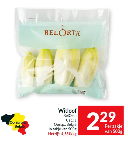 Aanbieding: Witloof