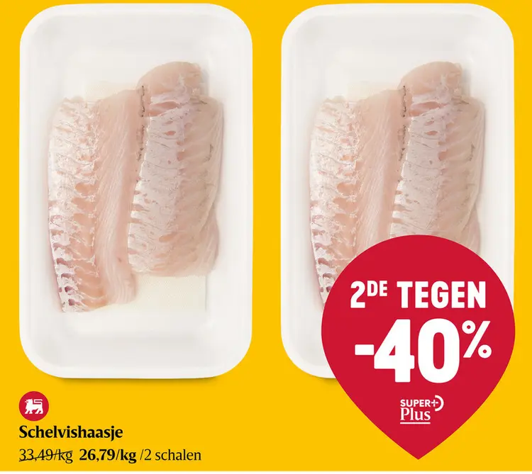 Aanbieding: Schelvishaasje