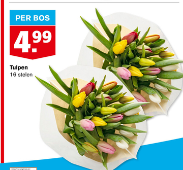 Aanbieding: Tulpen