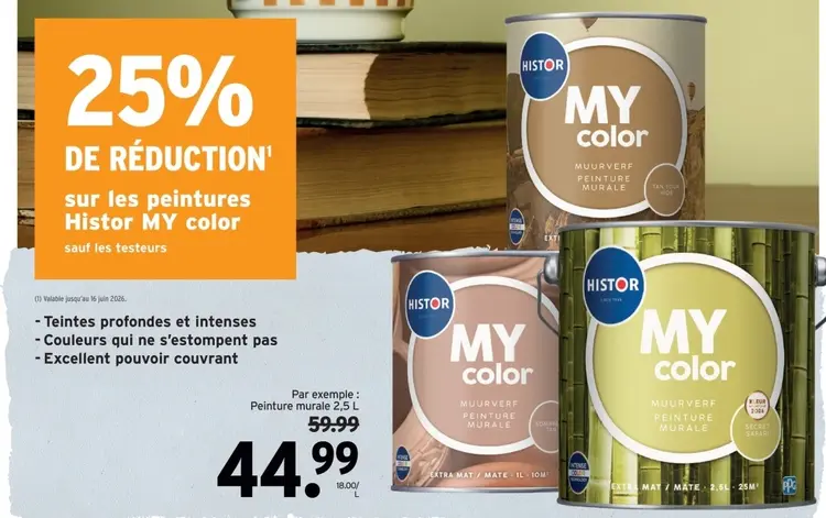 Offre: Peinture murale