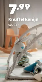 Promotie: Knuffel konijn