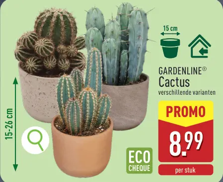 Promotie: Cactus