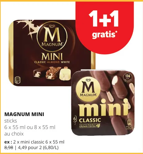 Offre: Magnum mini