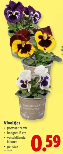 Promotie: Viooltjes