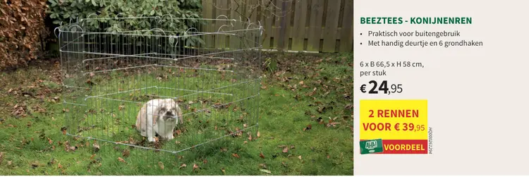 Promotie: Konijnenren