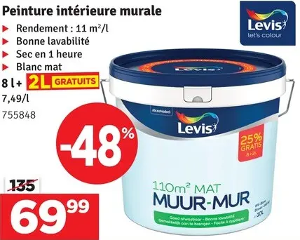 Offre: Peinture intérieure murale
