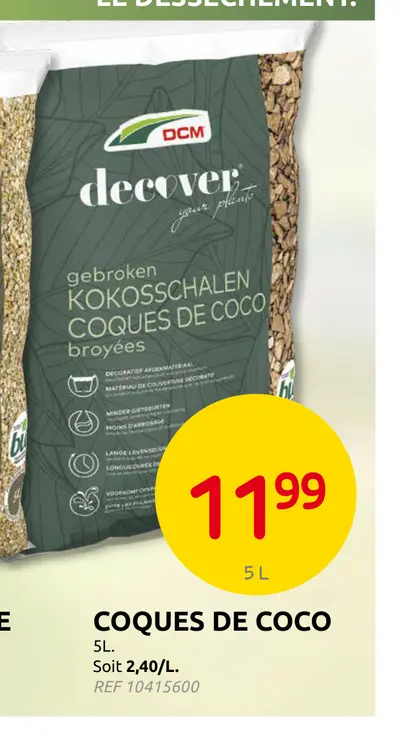 Offre: Coques de coco