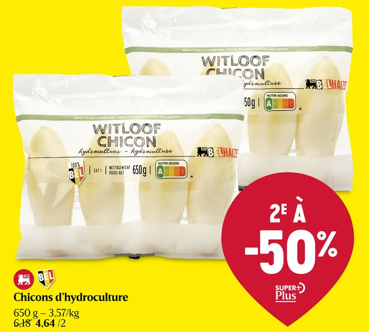 Offre: Chicon | Hydroculture