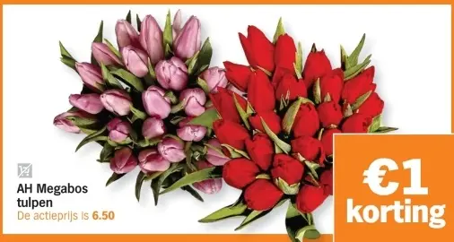Aanbieding: Megabos tulpen