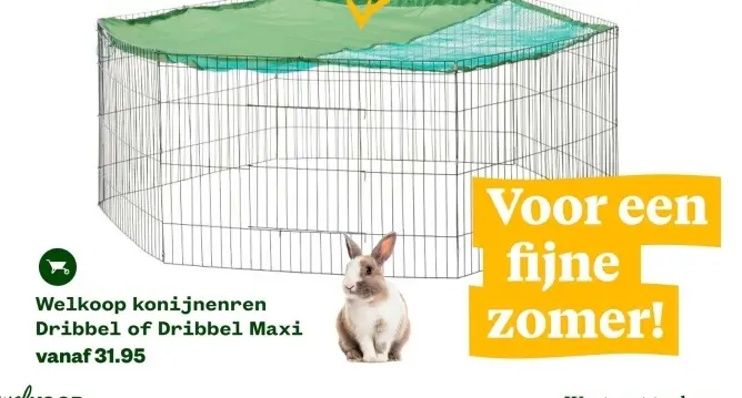 Aanbieding: Welkoop konijnenren Dribbel of Dribbel Maxi