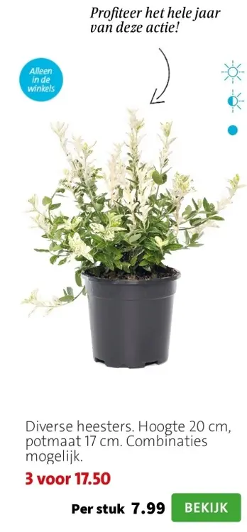 Aanbieding: Diverse heesters