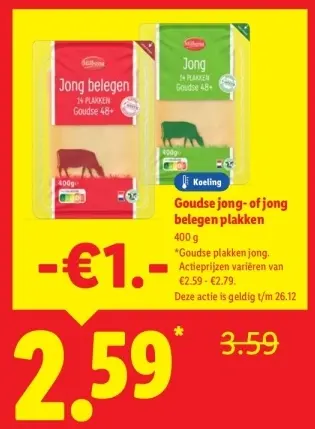 Aanbieding: Goudse jong- of jong belegen plakken