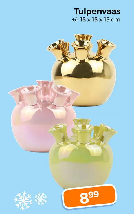 Aanbieding: Tulpenvaas