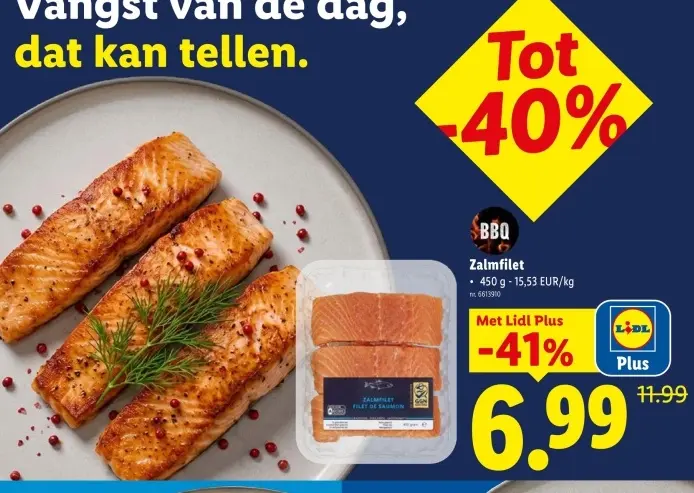 Promotie: Zalmfilet