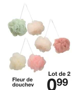Offre: Fleur de douchev