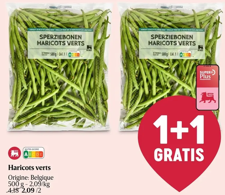 Offre: Haricots verts