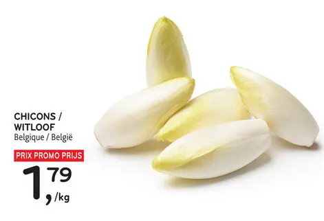 Offre: Chicons / witloof