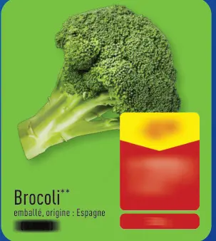 Offre: Brocoli