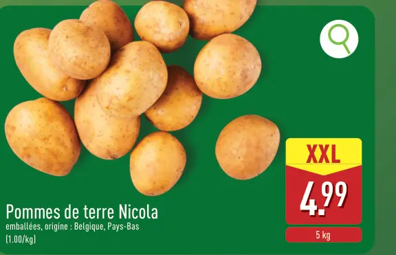 Offre: Pomme de terre Nicola