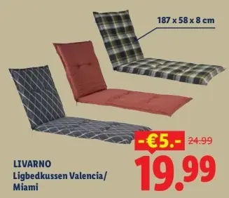Aanbieding: Ligbedkussen Valencia/ Miami