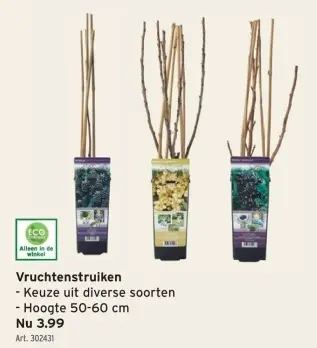 Promotie: Vruchtenstruiken