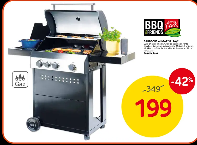 Offre: Barbecue au gaz salta/2