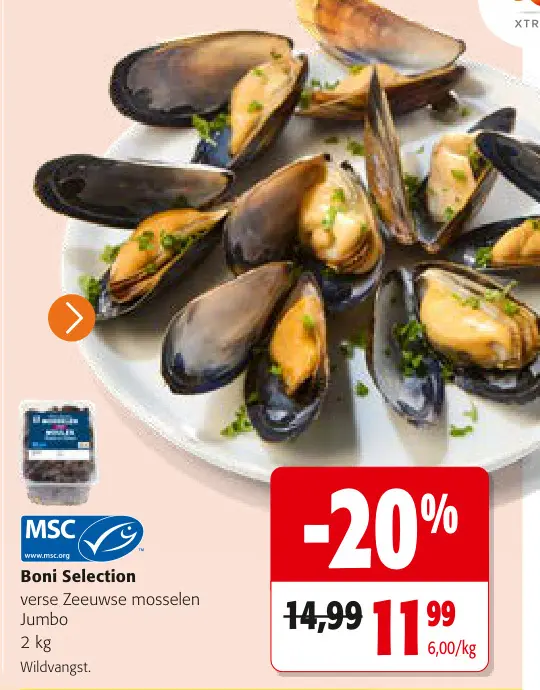Promotie: verse Zeeuwse mosselen