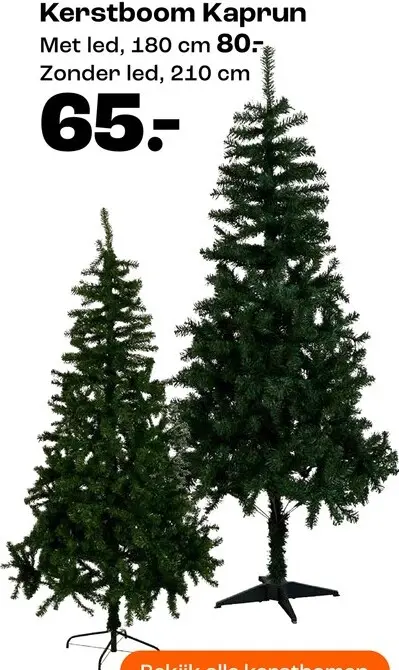 Promotie: Kerstboom Kaprun