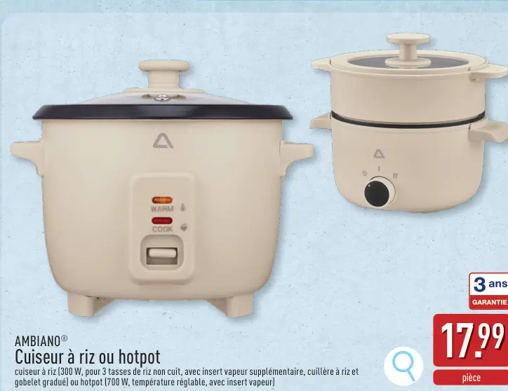 Offre: Cuiseur à riz ou hotpot