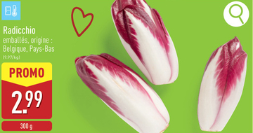 Offre: Radicchio