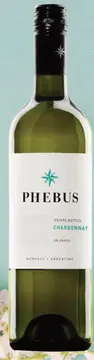 Aanbieding: Phebus Chardonnay Mendoza