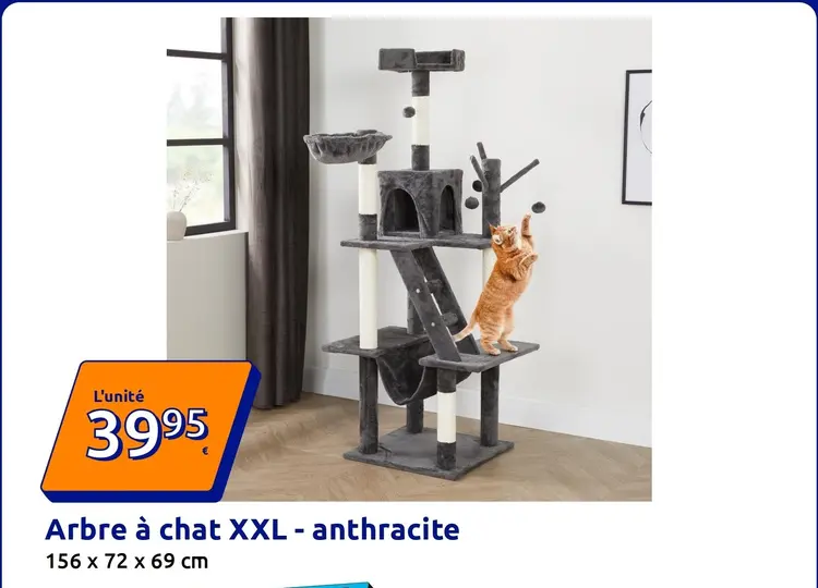 Offre: Arbre à chat XXL - anthracite