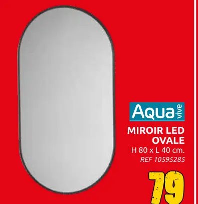 Offre: Mirroir led ovale