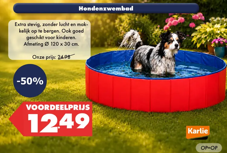 Aanbieding: Hondenzwembad