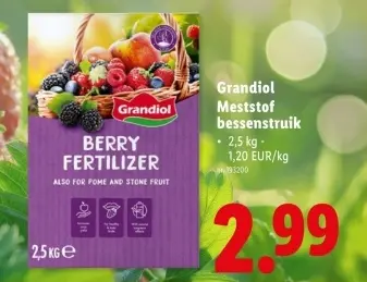 Promotie: Meststof bessenstruik