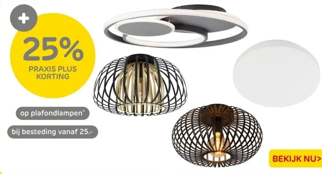 Aanbieding: Plafondlampen