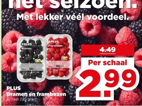 Bramen en frambozen
