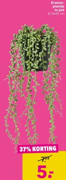 Aanbieding: in pot