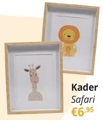 Promotie: Kader Safari