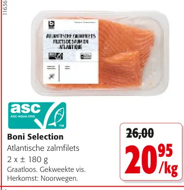 Promotie: Atlantische zalmfilets