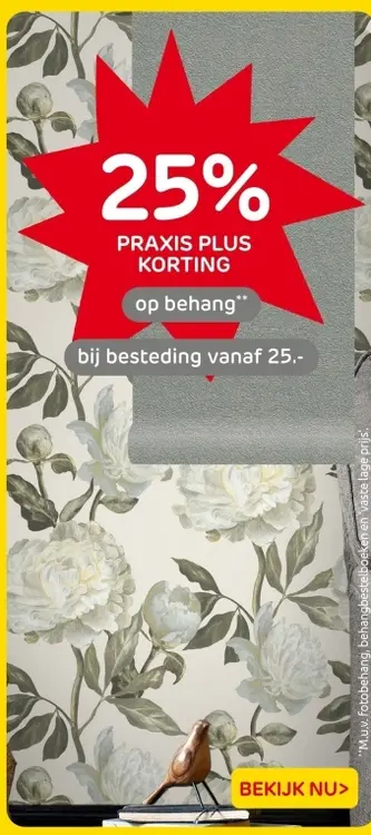 Aanbieding: Behang
