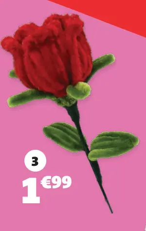 Offre: Fleur à concevoir