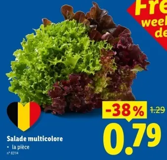 Offre: Salade multicolore