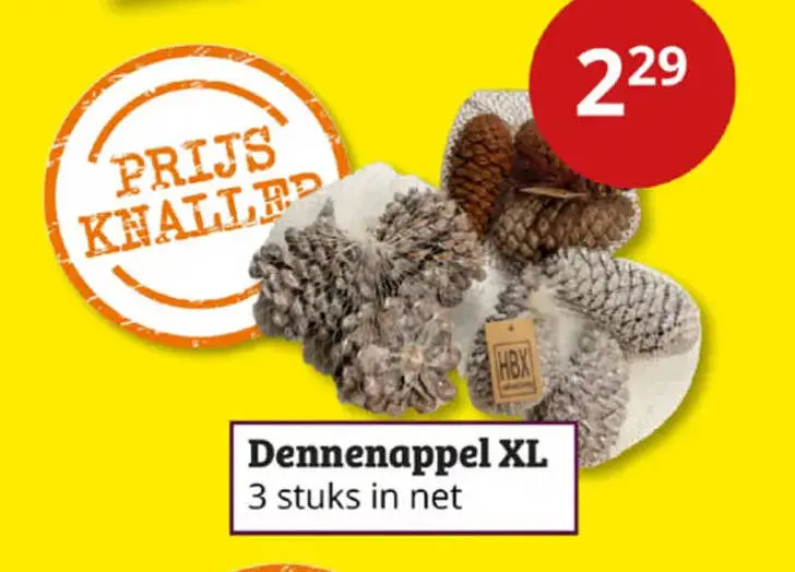 Aanbieding: Dennenappel XL