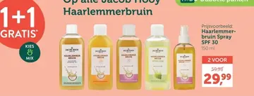 Aanbieding: Haarlemmerbruin