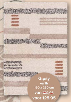 Aanbieding: Gipsy earth