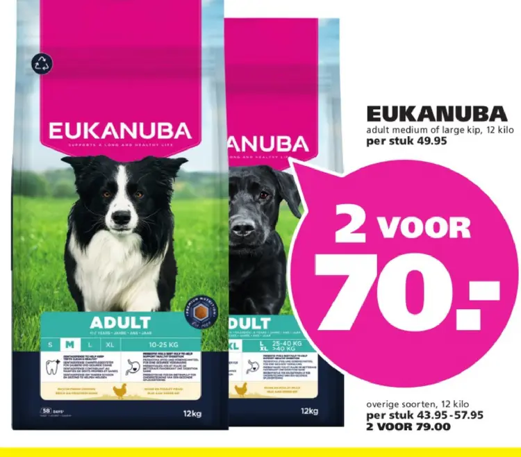 Aanbieding: adult medium of large kip